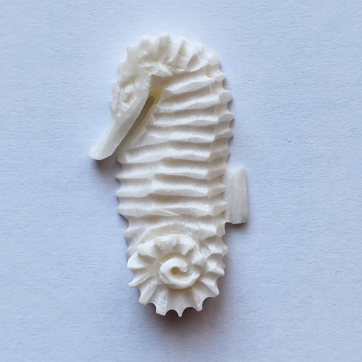 Bone Seahorse Carving | D.E.L.S. Nantuckets